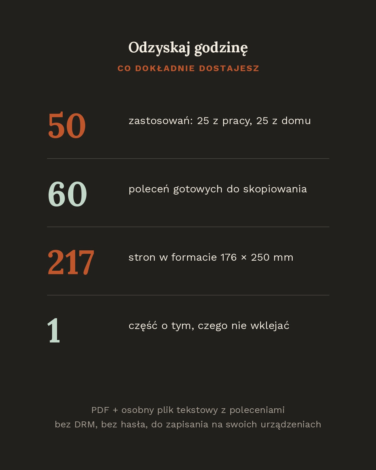 Odzyskaj godzinę - jak używać AI w pracy i w domu (PDF, 217 stron)