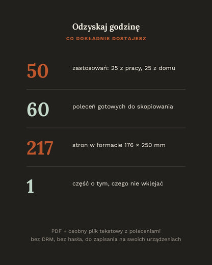 Odzyskaj godzinę - jak używać AI w pracy i w domu (PDF, 217 stron)