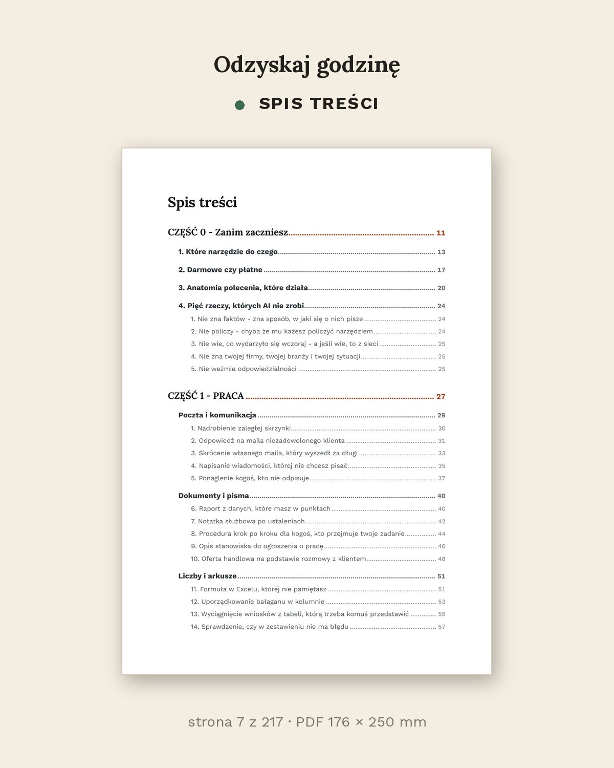 Odzyskaj godzinę - jak używać AI w pracy i w domu (PDF, 217 stron)