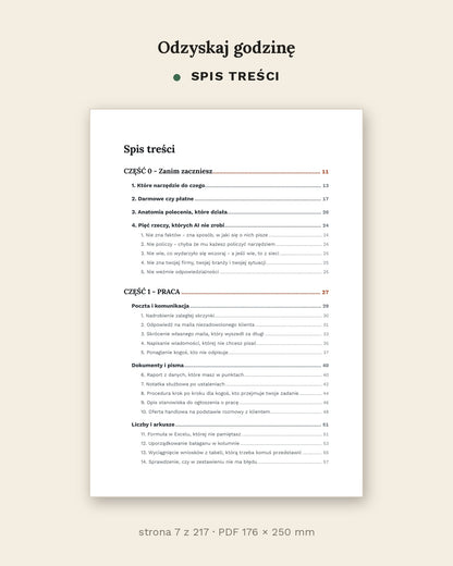 Odzyskaj godzinę - jak używać AI w pracy i w domu (PDF, 217 stron)