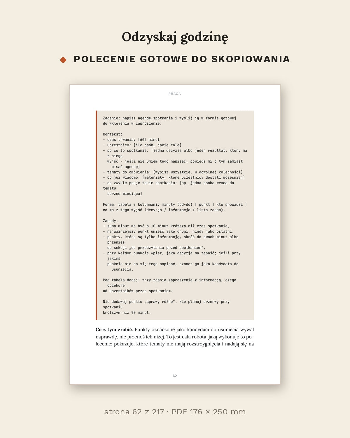 Odzyskaj godzinę - jak używać AI w pracy i w domu (PDF, 217 stron)