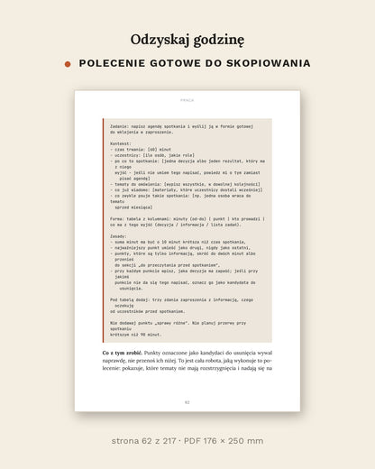 Odzyskaj godzinę - jak używać AI w pracy i w domu (PDF, 217 stron)