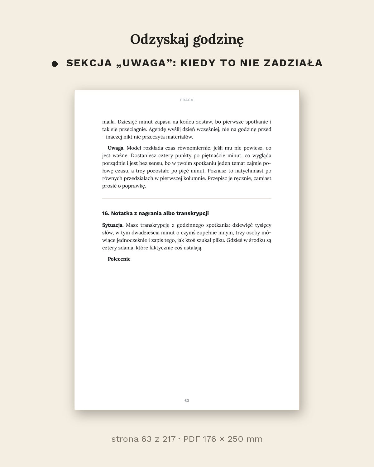 Odzyskaj godzinę - jak używać AI w pracy i w domu (PDF, 217 stron)