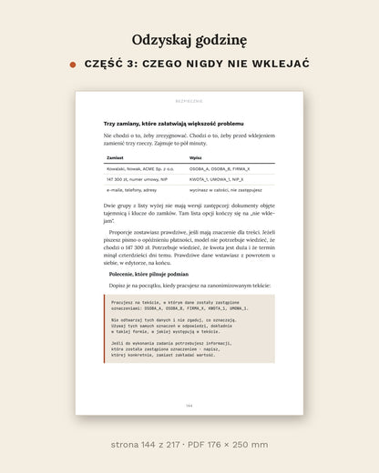 Odzyskaj godzinę - jak używać AI w pracy i w domu (PDF, 217 stron)