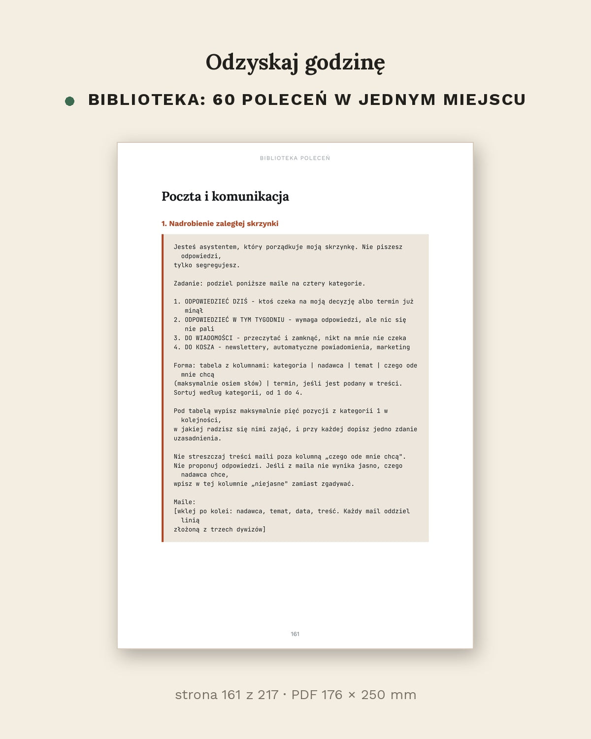 Odzyskaj godzinę - jak używać AI w pracy i w domu (PDF, 217 stron)