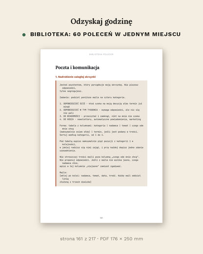 Odzyskaj godzinę - jak używać AI w pracy i w domu (PDF, 217 stron)